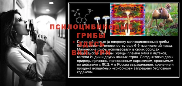 apvp Балабаново