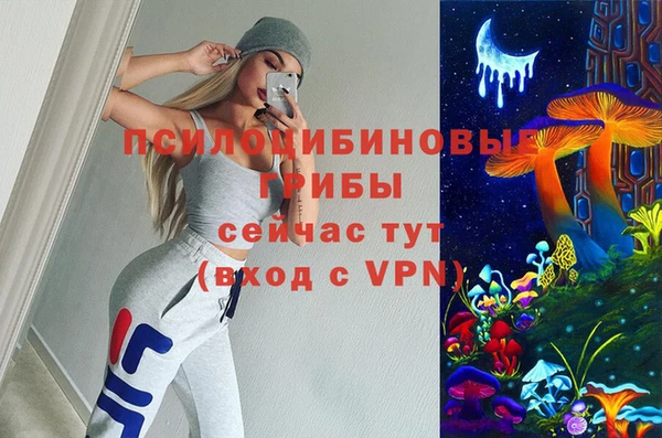 молекула духа Балахна