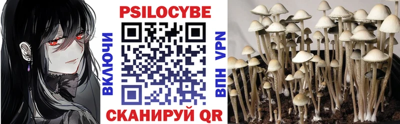 МЕГА маркетплейс  Сосновоборск  Псилоцибиновые грибы Psilocybe 
